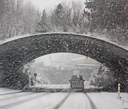 winter