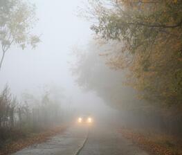 herbst