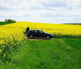 fruehling